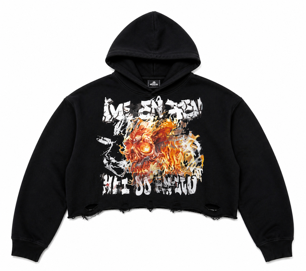 Ame En Fue Cropped Hoodie