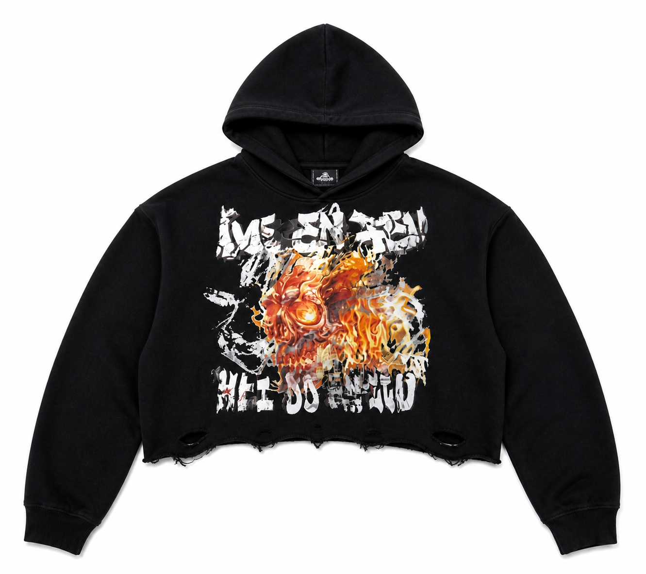 Ame En Fue Cropped Hoodie