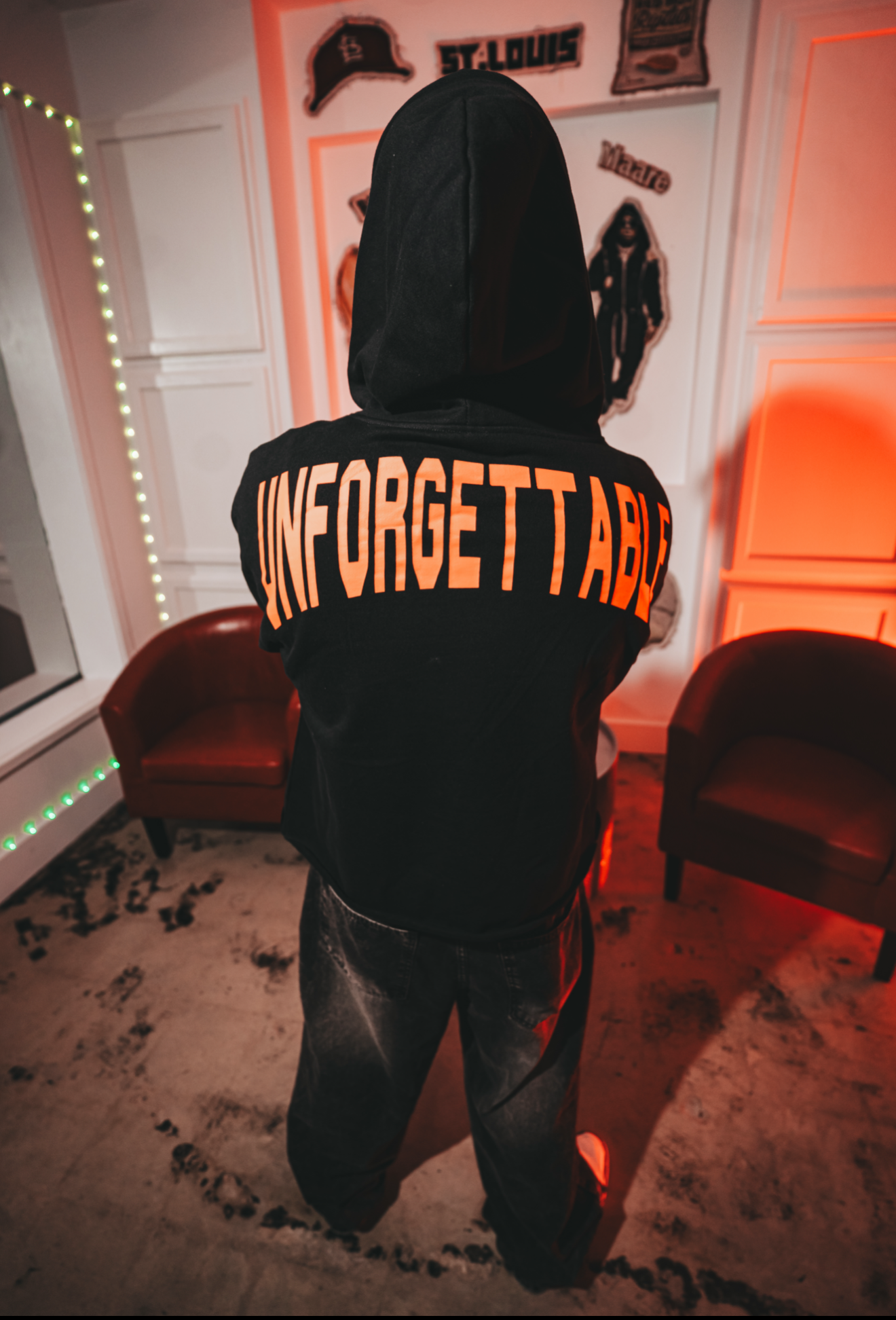 Ame En Fue Cropped Hoodie